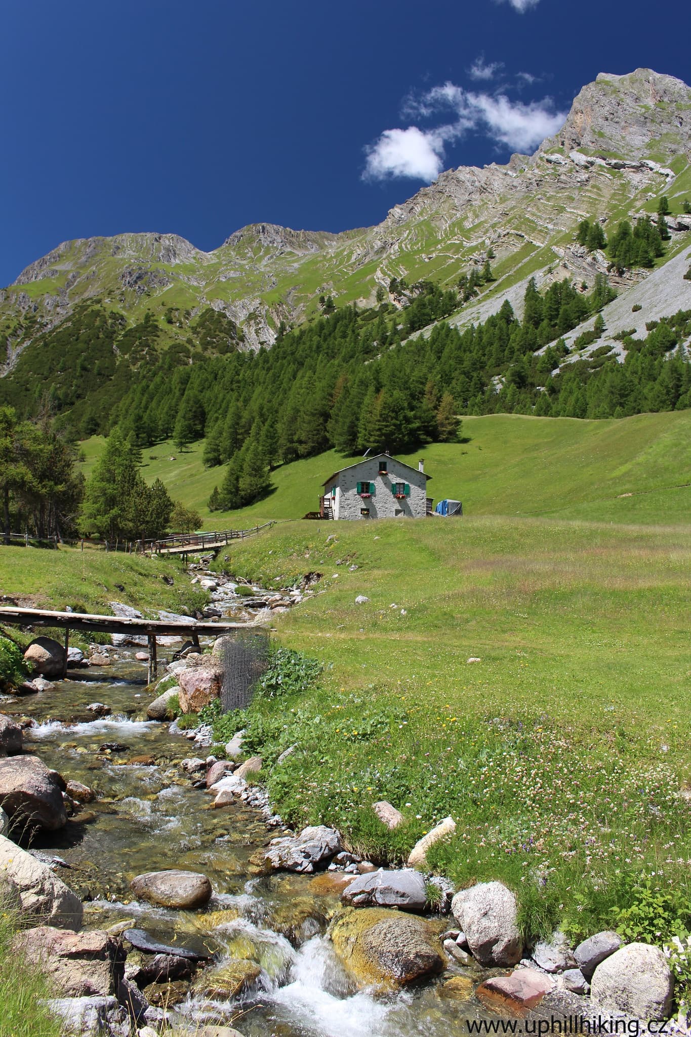 Turistika v oblasti Livigna