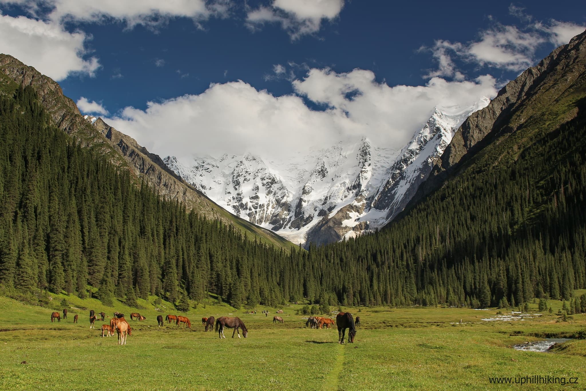 Kyrgyzstán