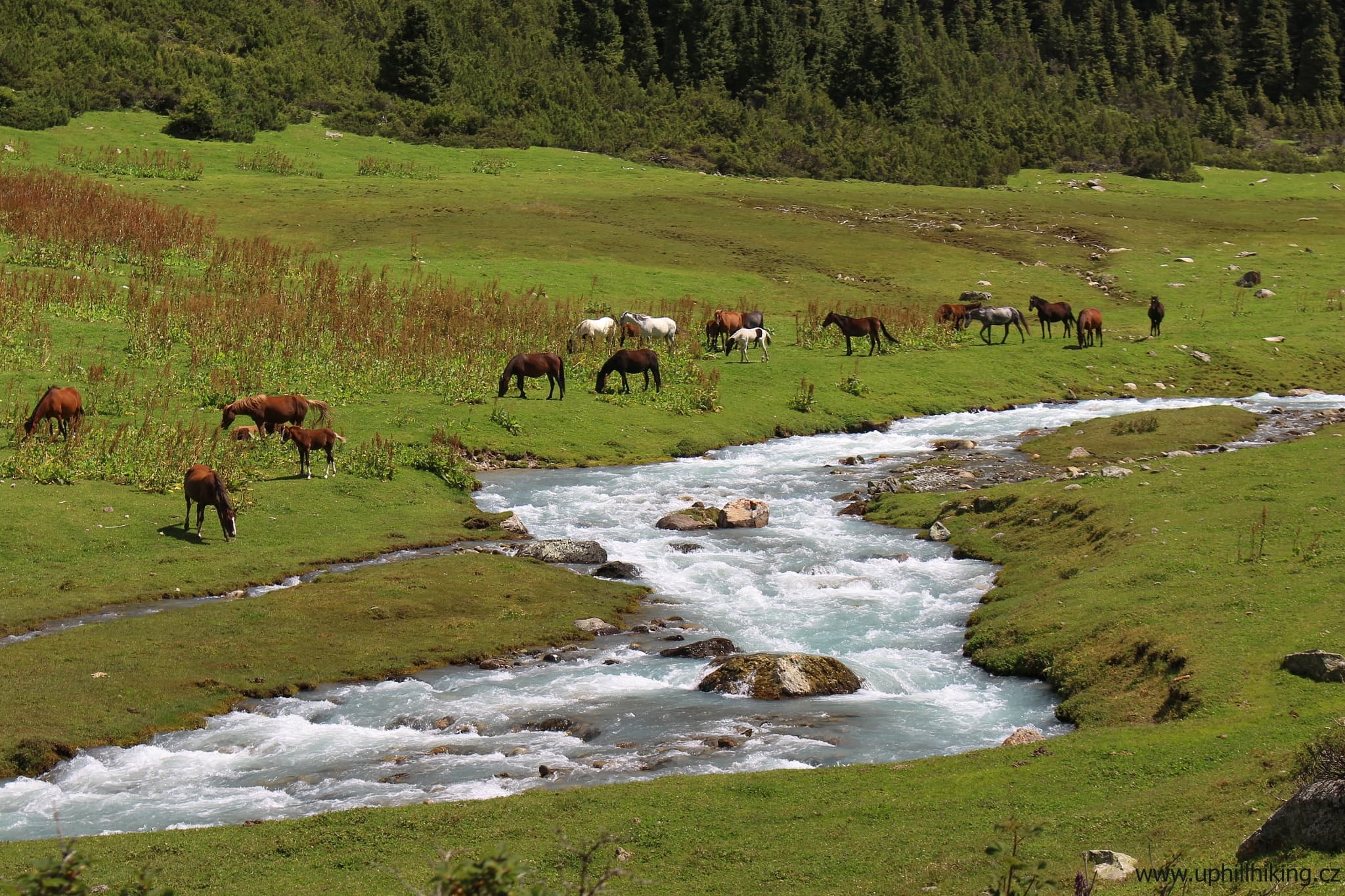 Kyrgyzstán