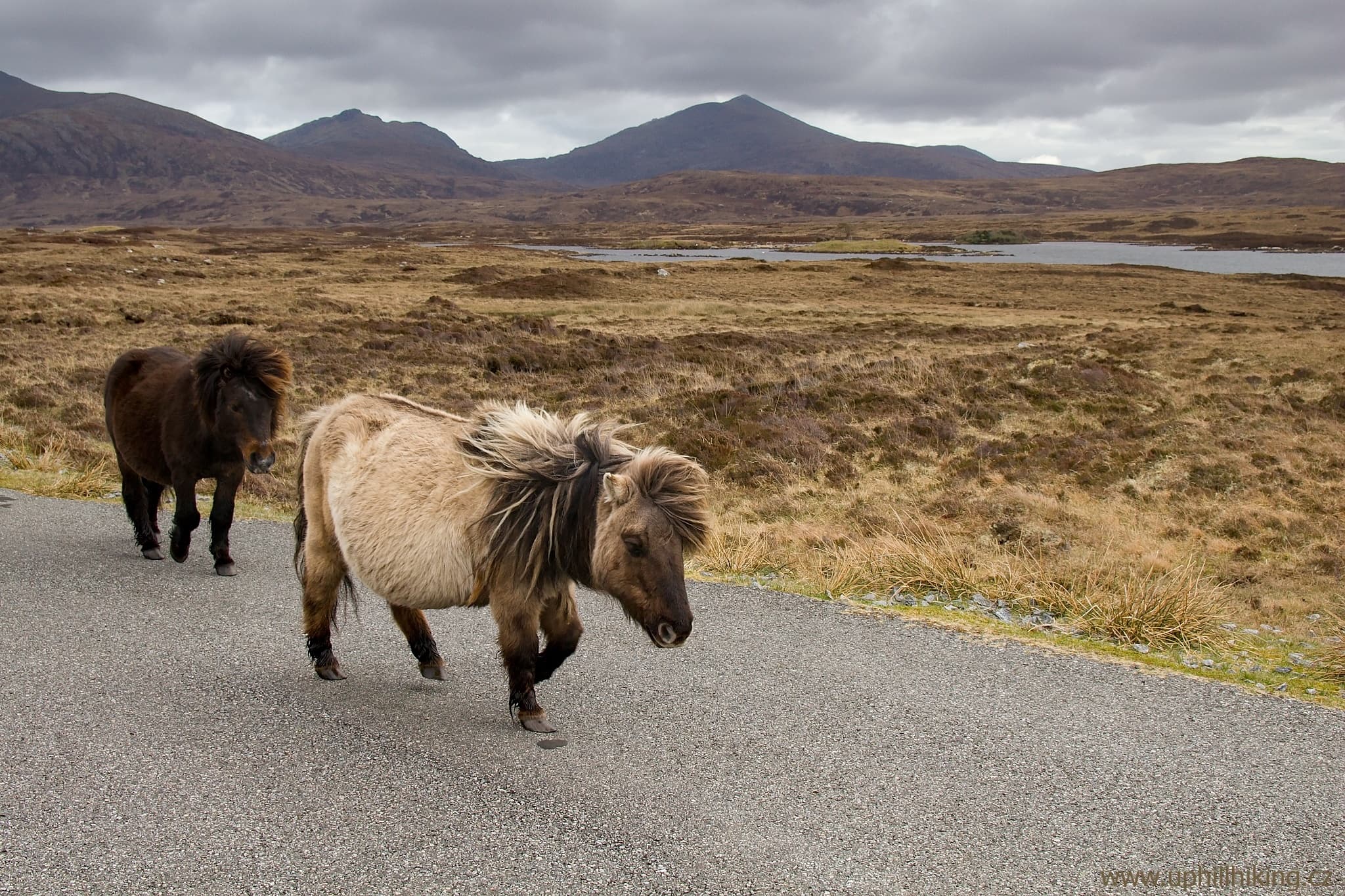 Ostrov Eriskay