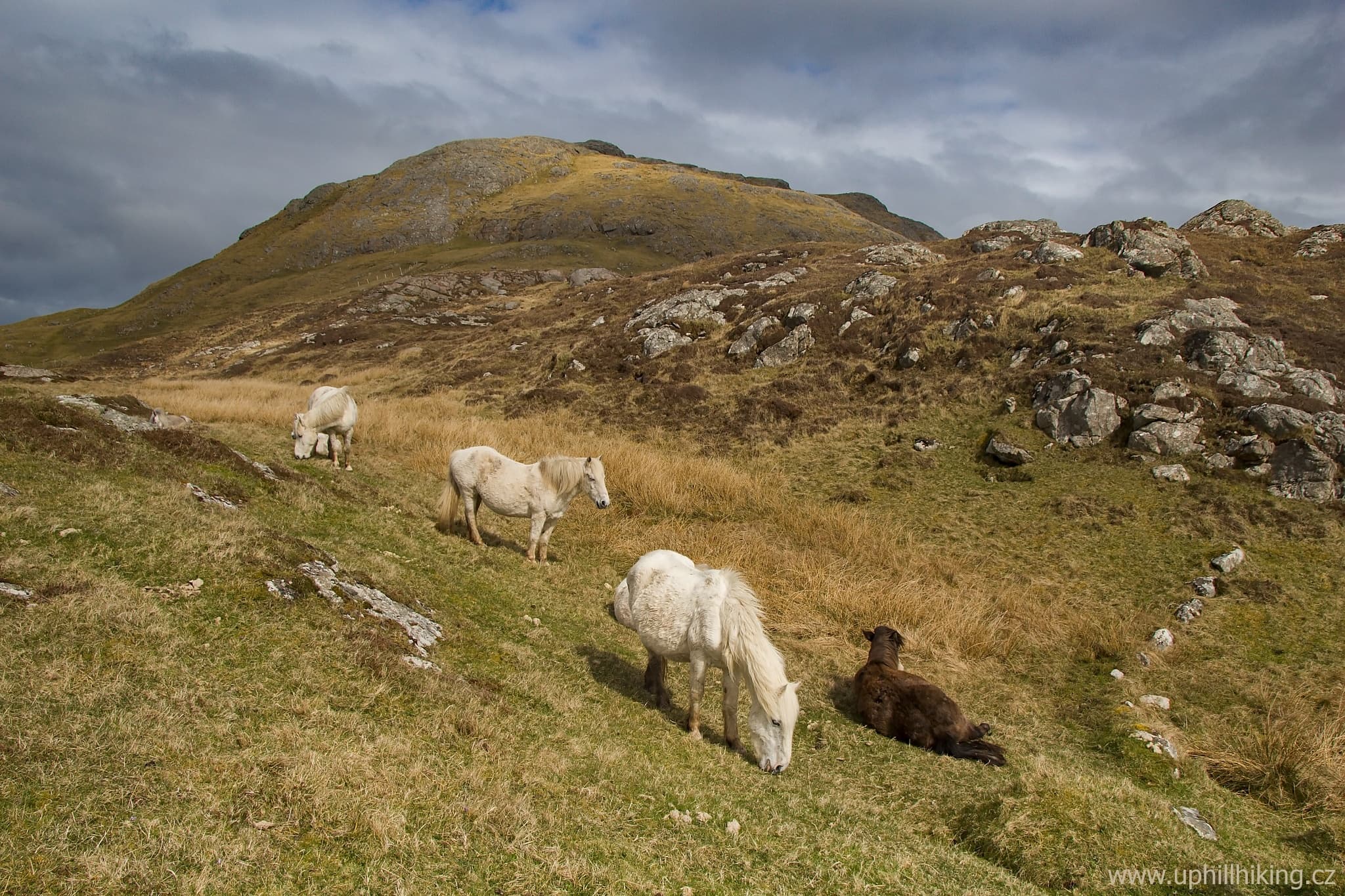 Ostrov Eriskay