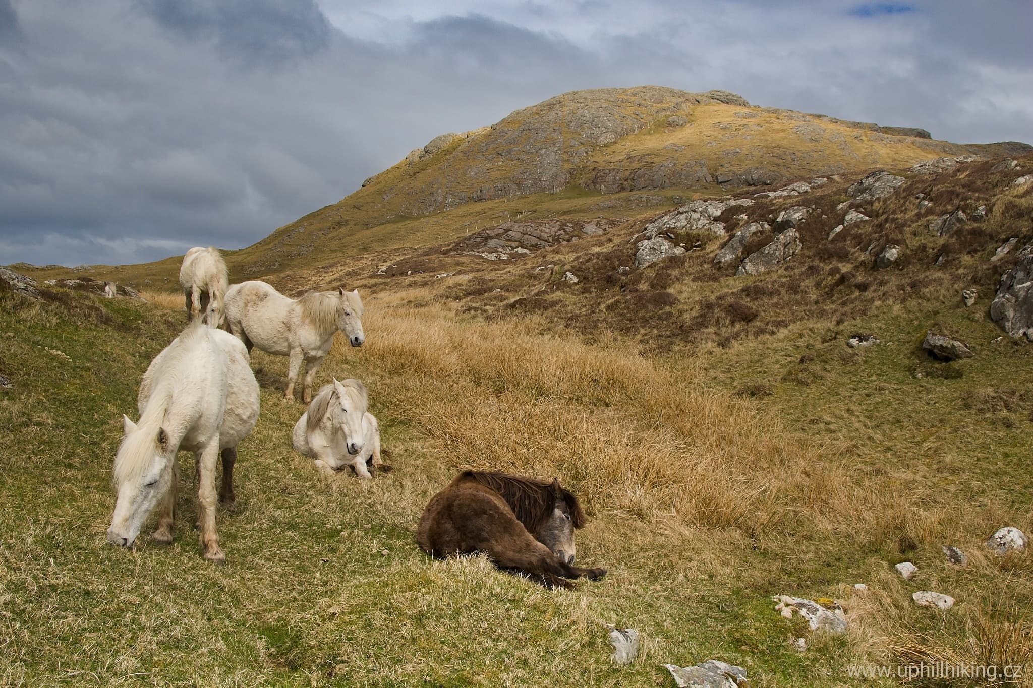 Ostrov Eriskay