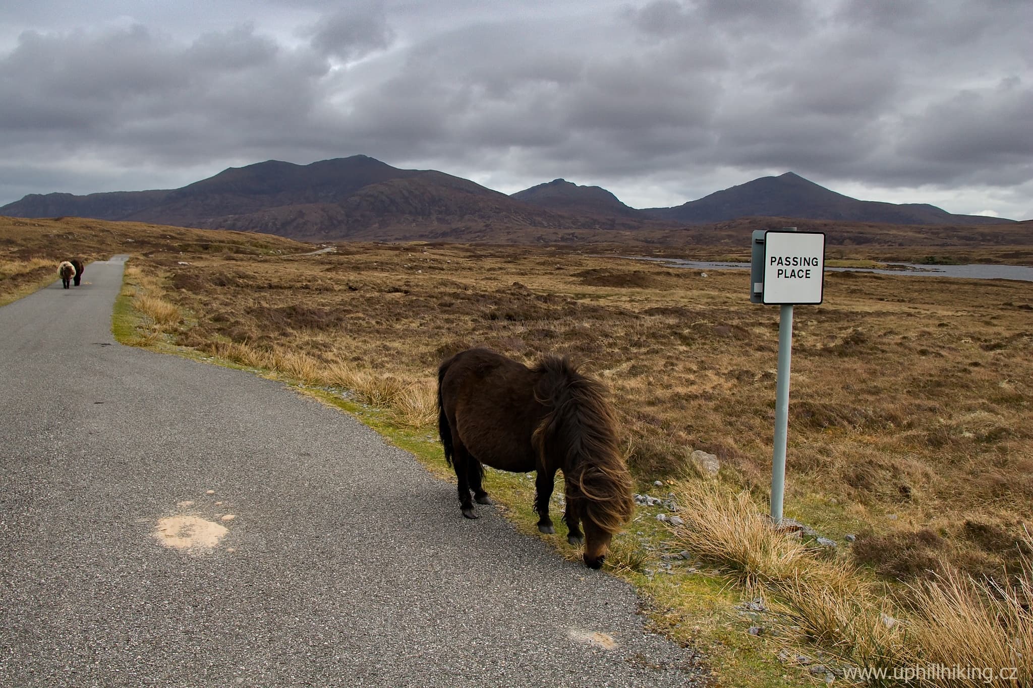 Ostrov Eriskay