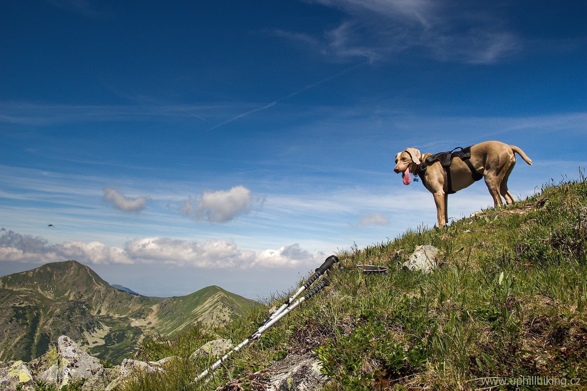 Tatry