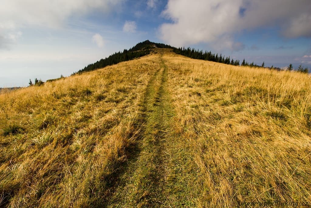 Západní Tatry - Sivý vrch, Brestová, Salatín