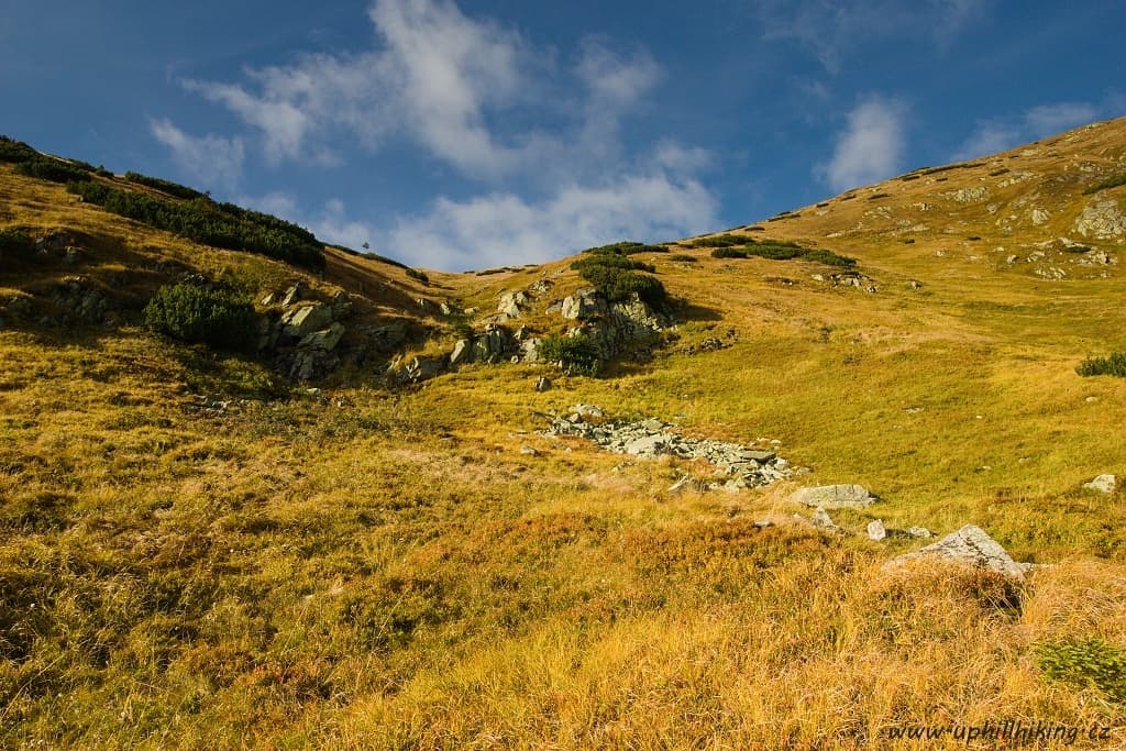 Západní Tatry - Sivý vrch, Brestová, Salatín