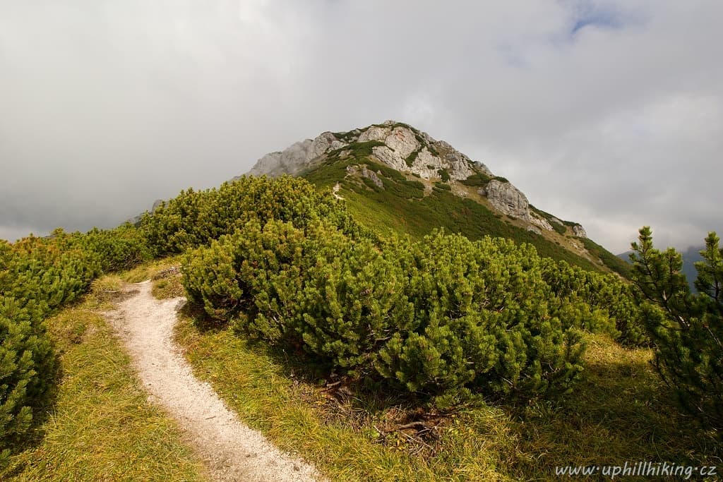 Západní Tatry - Sivý vrch, Brestová, Salatín