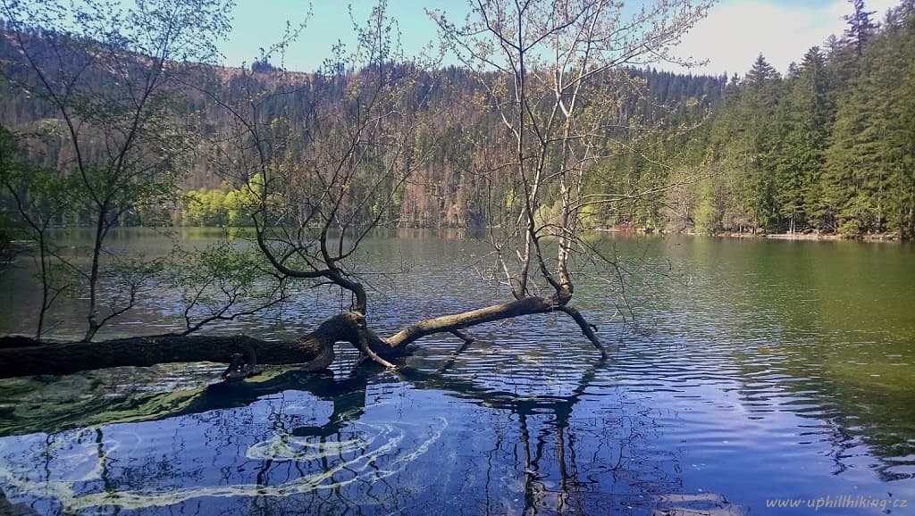 Šumavsko-bavorská turistika