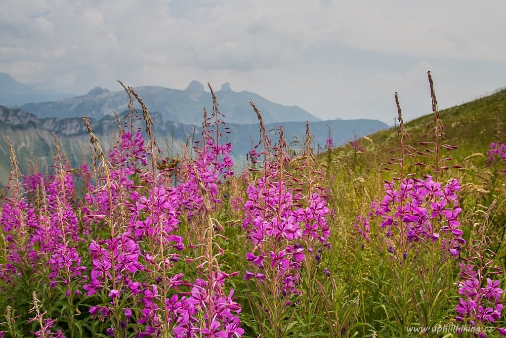 Rochers de Naye ve Švýcarských Alpách