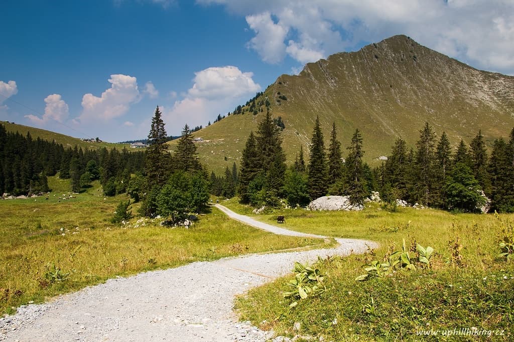 Rochers de Naye ve Švýcarských Alpách