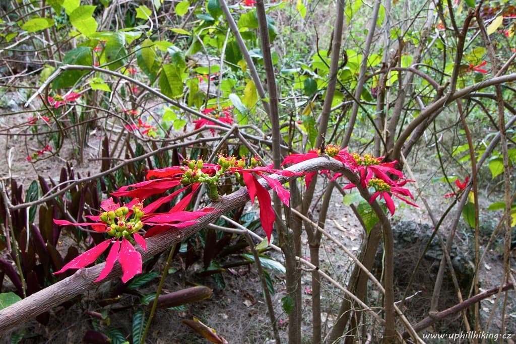 2018-11-05 Réunion I - Trek v kráteru Mafate