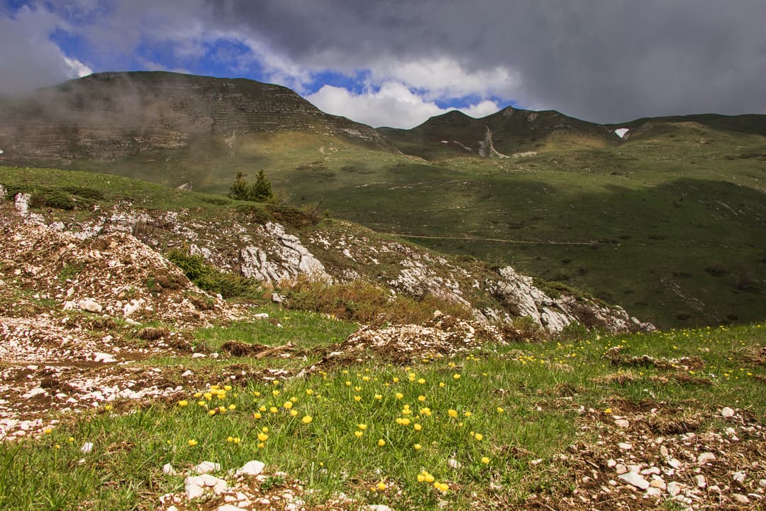 2019-05-26 Colomby de Gex