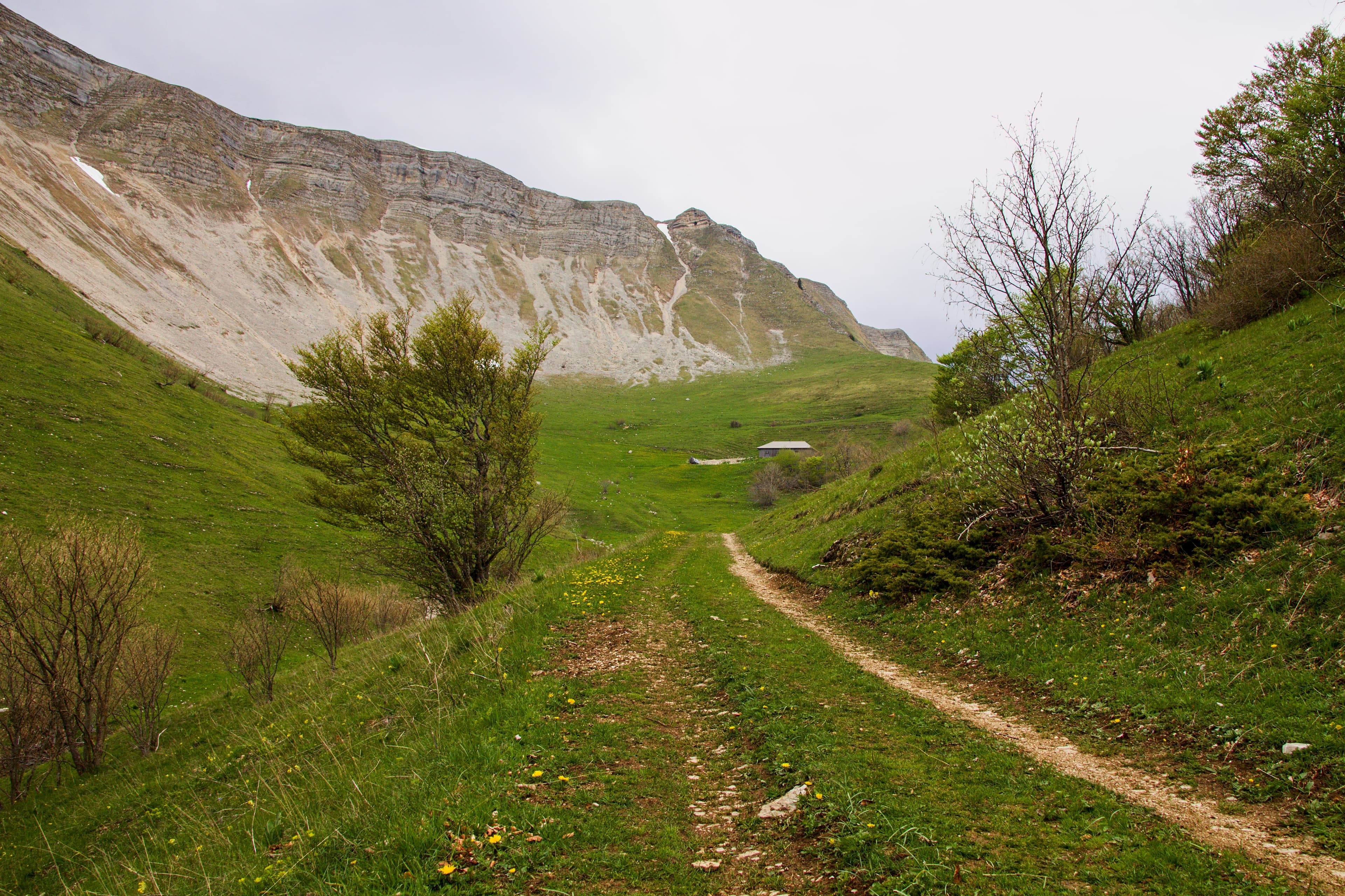 Colomby de Gex