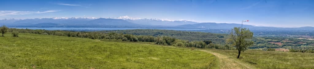 Toulka lesy nad vesničkou Vesancy