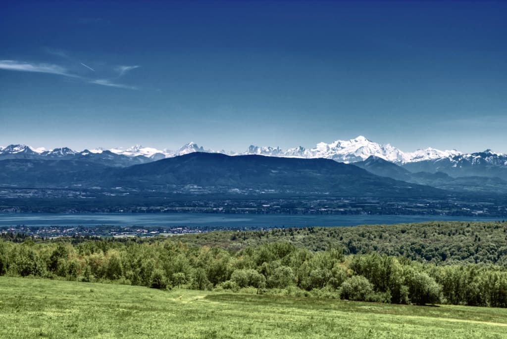 Toulka lesy nad vesničkou Vesancy