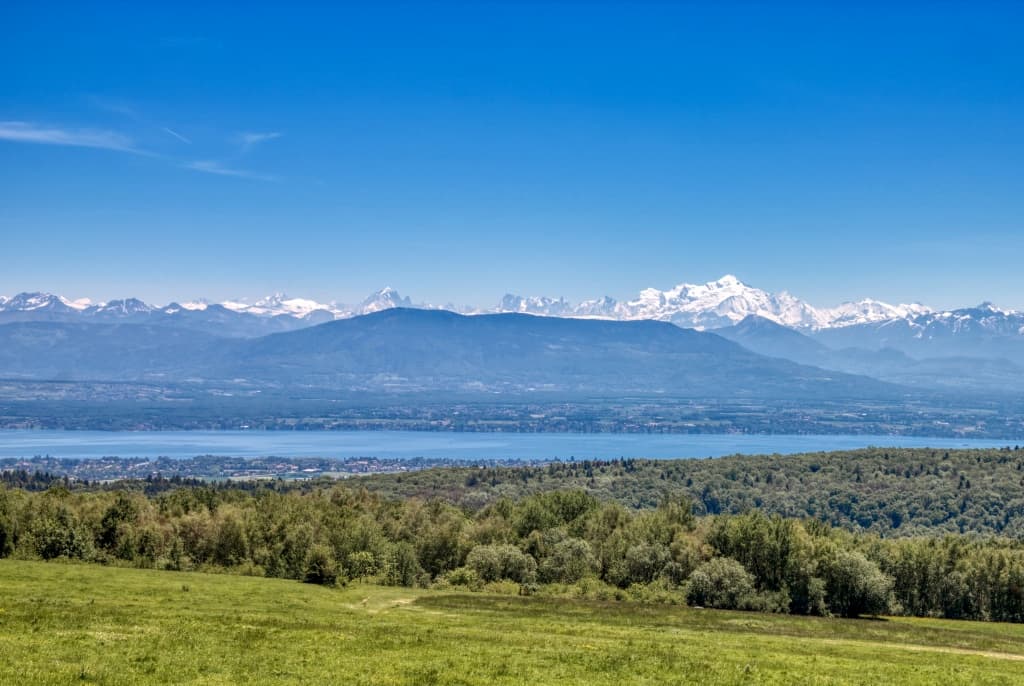 Toulka lesy nad vesničkou Vesancy