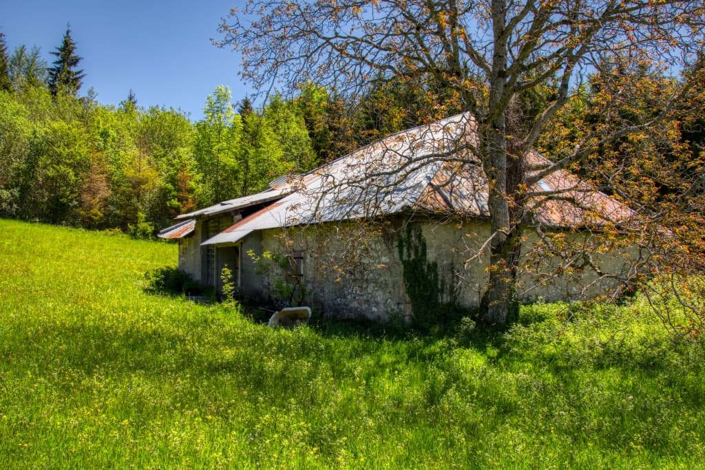 Toulka lesy nad vesničkou Vesancy