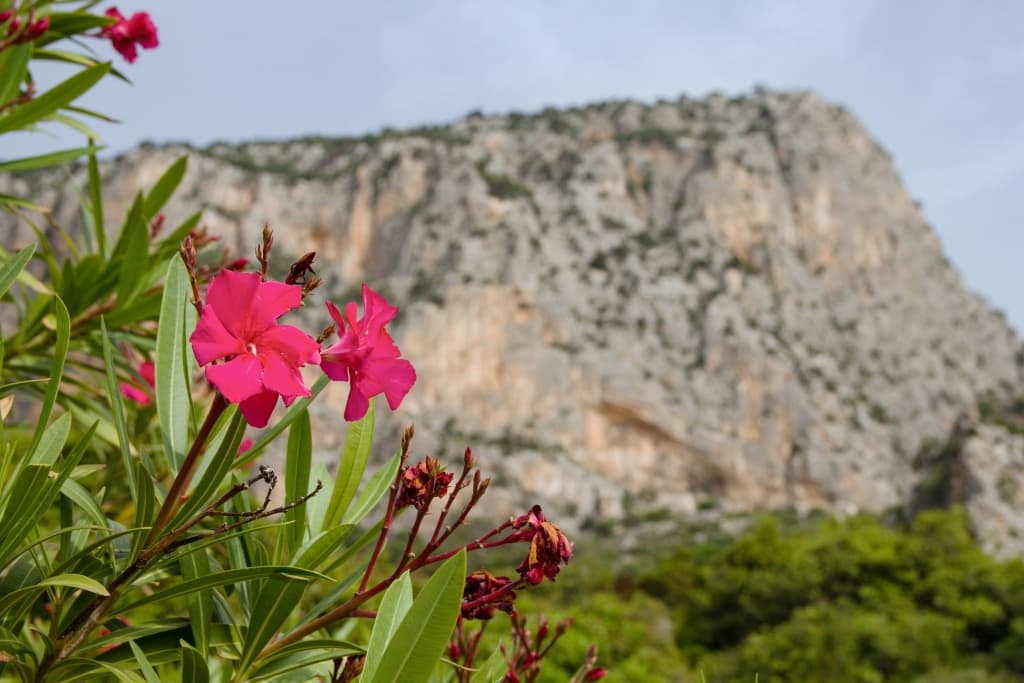 Sardinie IV - Pedra Longa - Selvaggio Blu