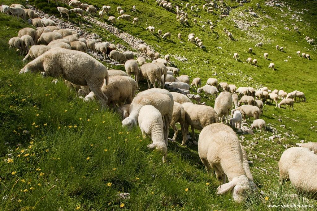 Lago di Garda - Monte Altissimo di Nago a Monte Baldo